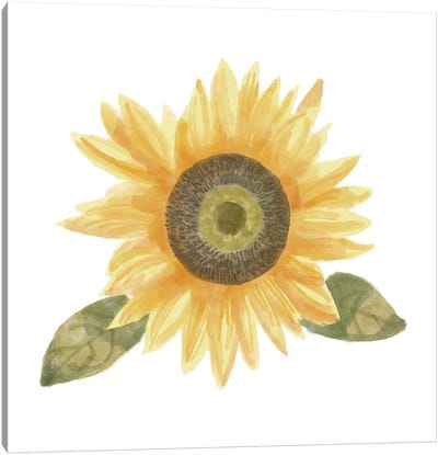 Single Sunflower II Canvas Art Print