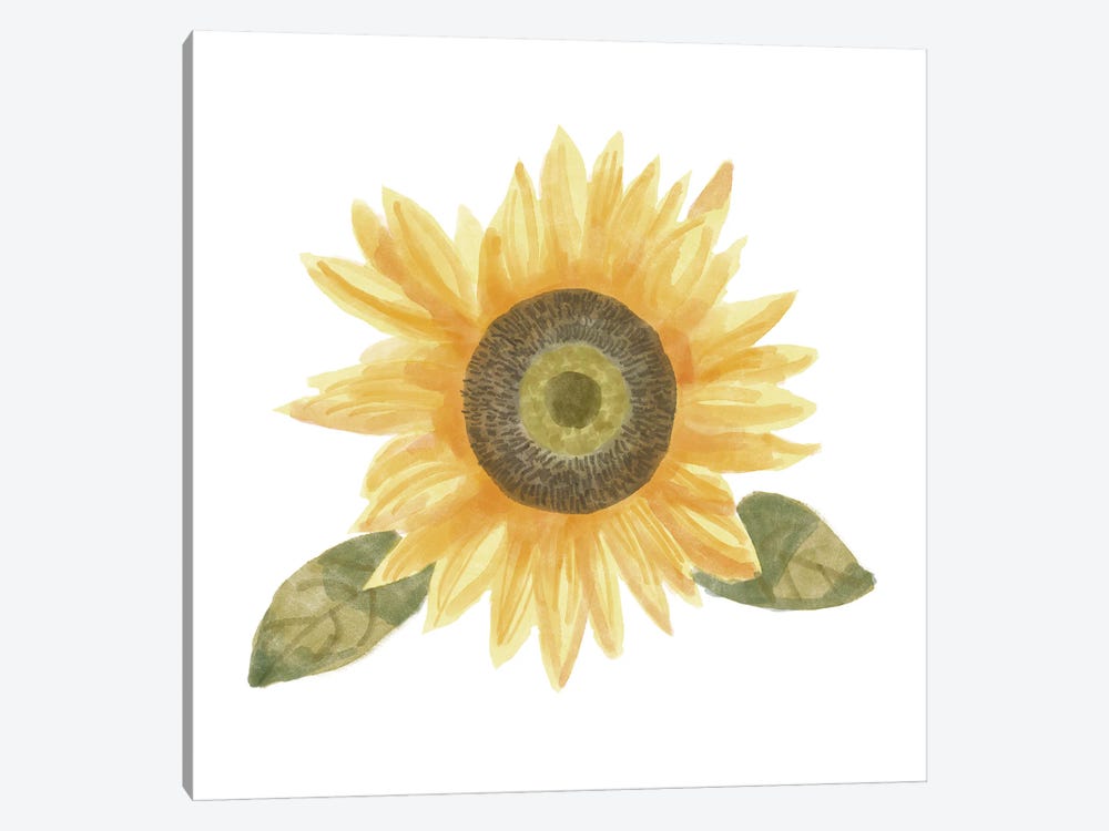 Single Sunflower II by Bannarot 1-piece Canvas Art Print