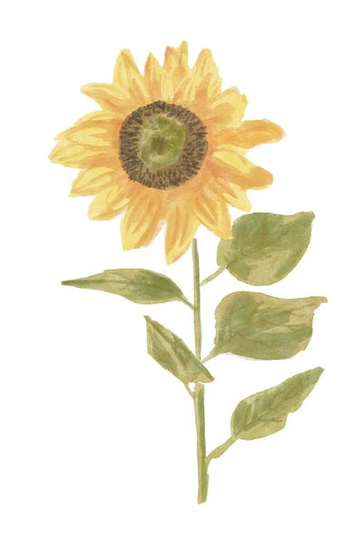 Single Sunflower portrait II by Bannarot gallery poster