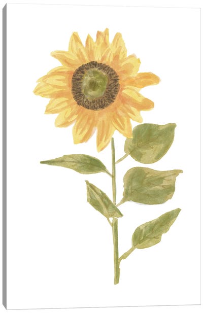 Single Sunflower portrait II Canvas Art Print