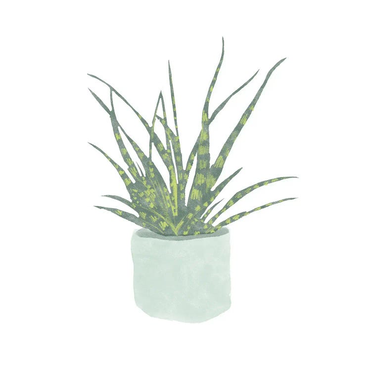 Snake Plant I by Bannarot wall art