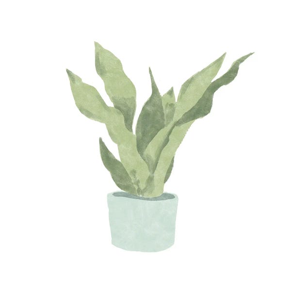 Bannarot: Snake Plant II by Bannarot