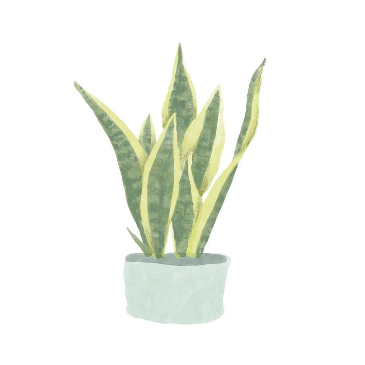 Snake Plant III by Bannarot wall art