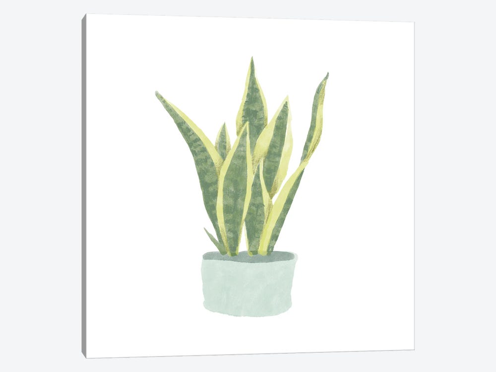 Snake Plant III by Bannarot 1-piece Canvas Artwork