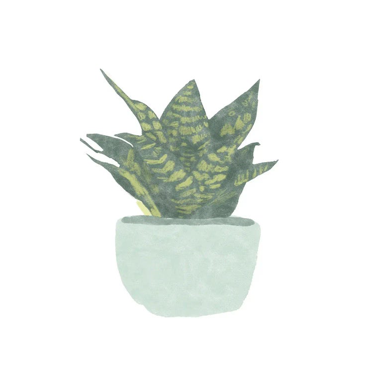 Snake Plant IV by Bannarot wall art