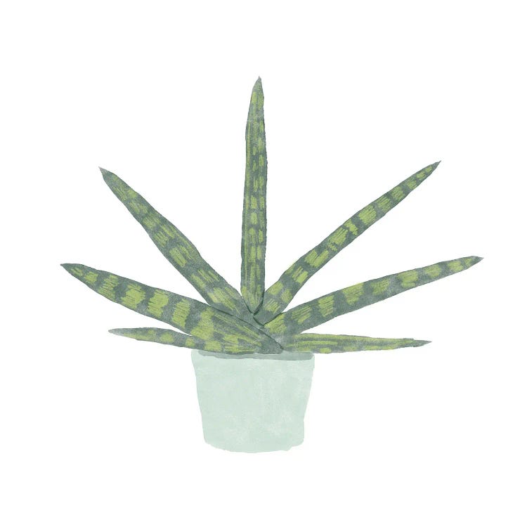 Snake Plant V by Bannarot wall art
