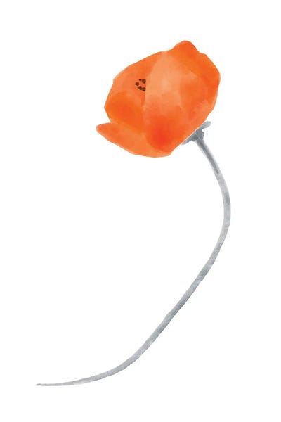 Solo Poppy Red III by Bannarot gallery poster