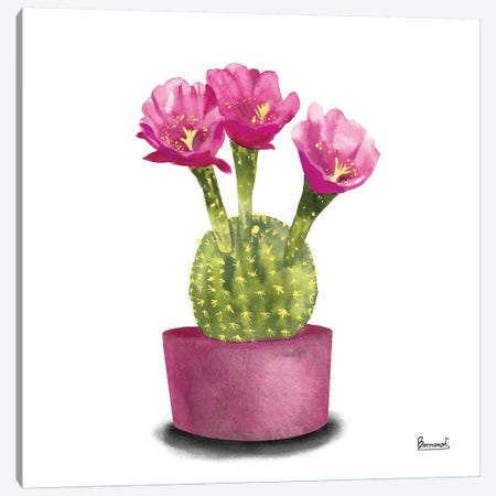 Cactus Flowers V Canvas Print #BNR6} by Bannarot Canvas Wall Art