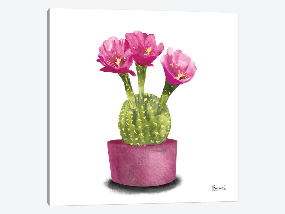 Cactus Flowers V by Bannarot 1-piece Canvas Artwork