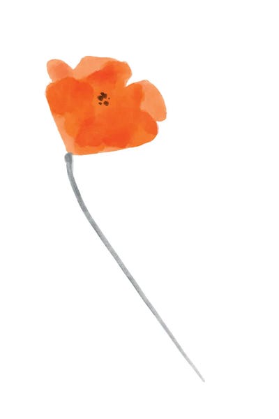 Solo Poppy Red IV by Bannarot gallery poster