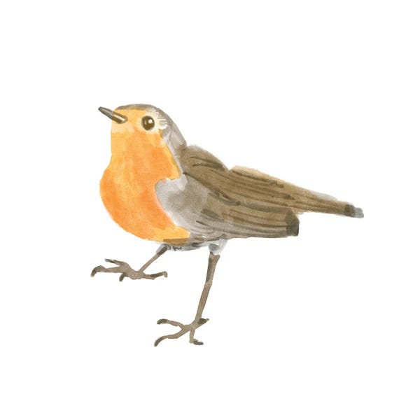 Bannarot: Songbird II by Bannarot