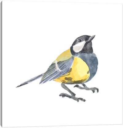 Songbird III Canvas Art Print