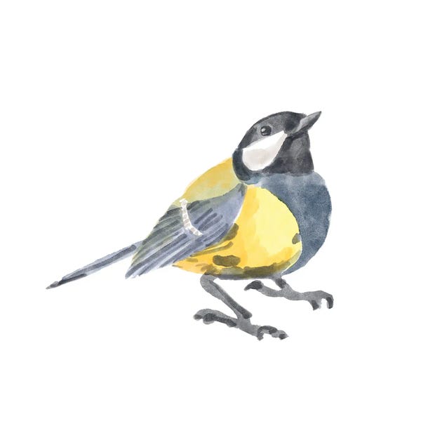 Bannarot: Songbird III by Bannarot