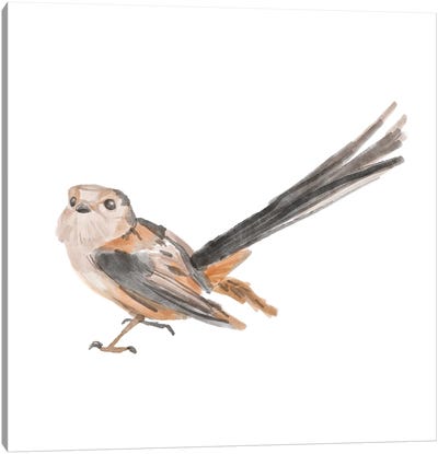 Songbird IV Canvas Art Print
