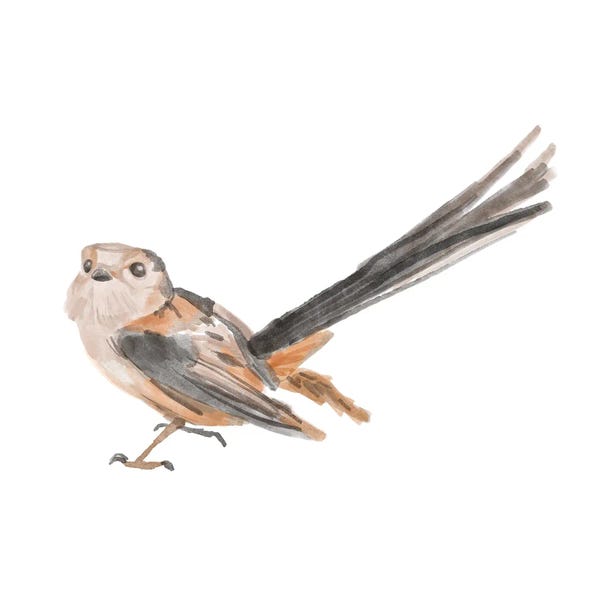 Bannarot: Songbird IV by Bannarot