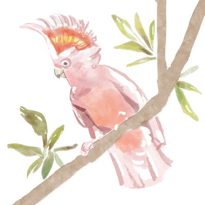 Tropical Cockatoo by Bannarot framed wall art