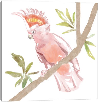 Tropical Cockatoo Canvas Art Print
