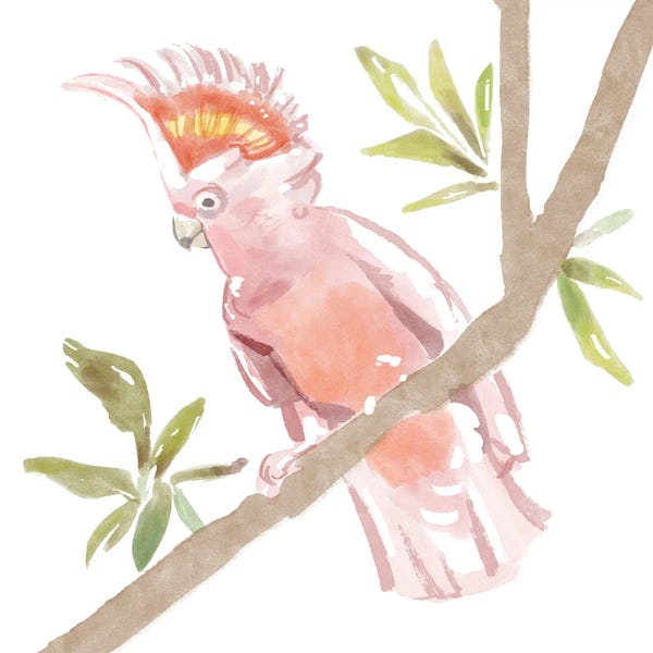 Bannarot: Tropical Cockatoo by Bannarot