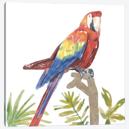 Tropical Parrot Canvas Print #BNR79} by Bannarot Canvas Print