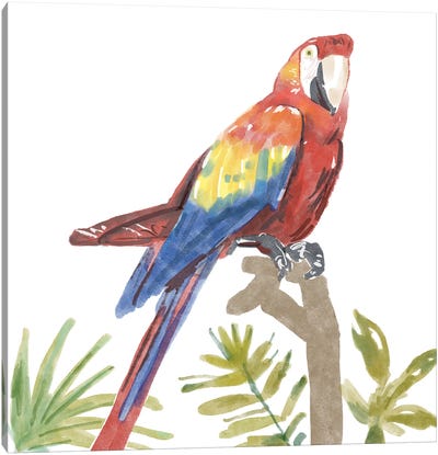 Tropical Parrot Canvas Art Print