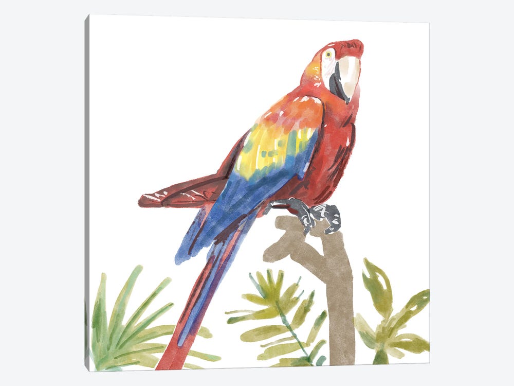 Tropical Parrot by Bannarot 1-piece Canvas Print