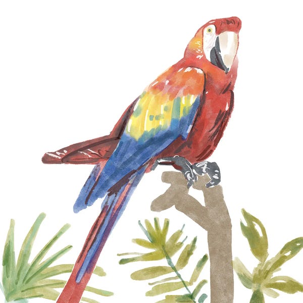 Bannarot: Tropical Parrot by Bannarot
