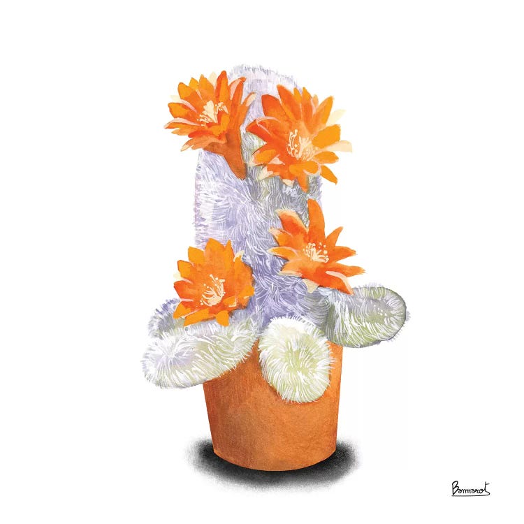 Cactus Flowers VI by Bannarot wall art