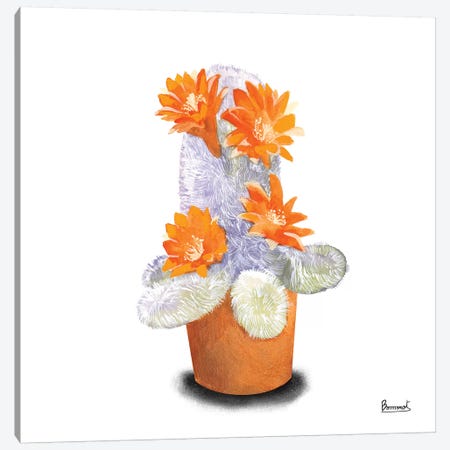 Cactus Flowers VI Canvas Print #BNR7} by Bannarot Canvas Wall Art