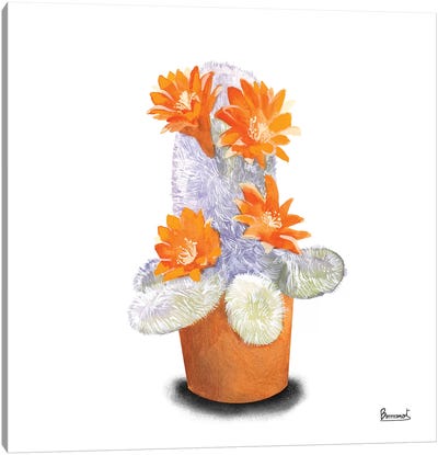Cactus Flowers VI Canvas Art Print