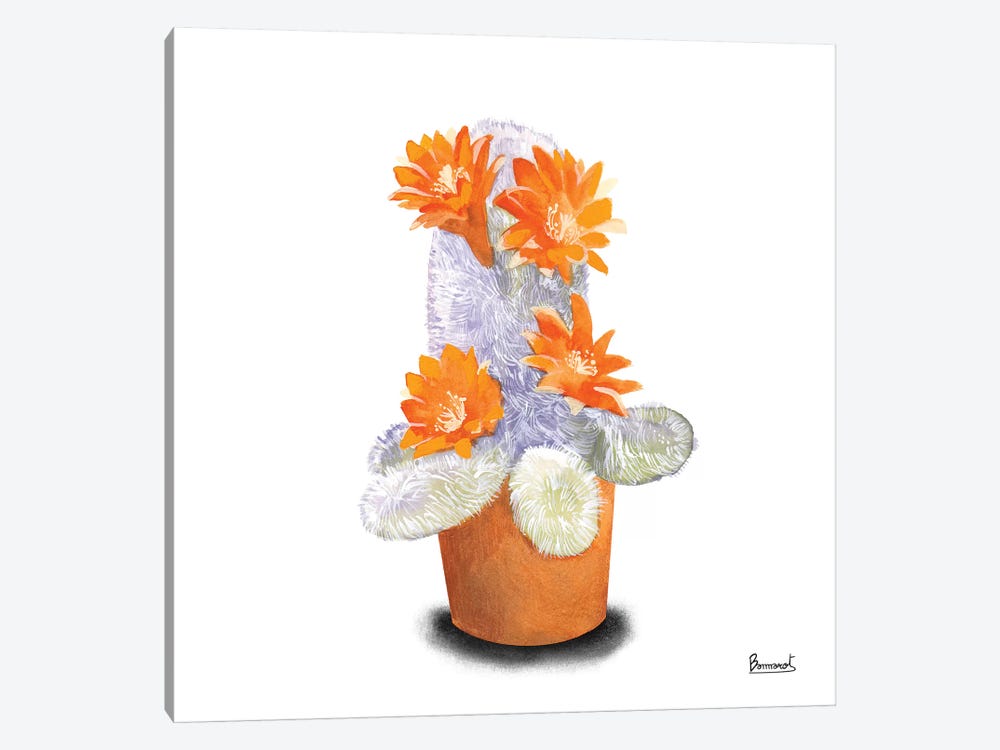 Cactus Flowers VI by Bannarot 1-piece Canvas Art Print