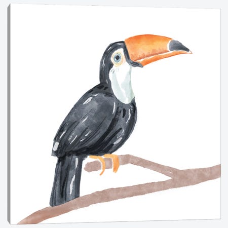 Tropical Toucan I Canvas Print #BNR80} by Bannarot Canvas Art