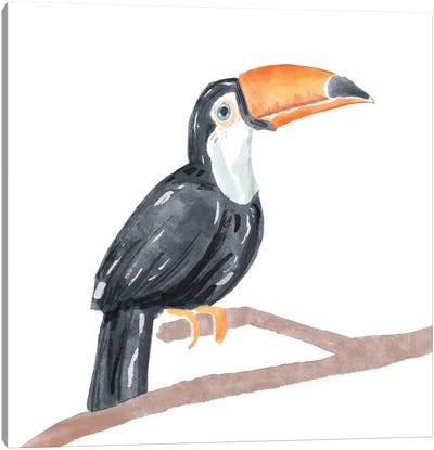 Tropical Toucan I Canvas Art Print - Toucan Art