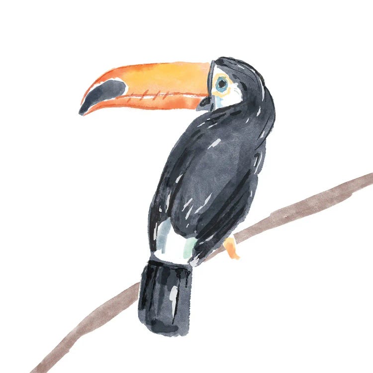 Tropical Toucan II