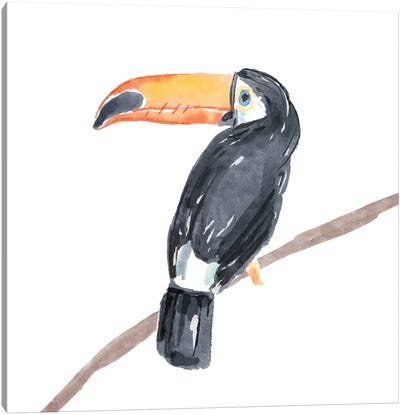 Tropical Toucan II Canvas Art Print