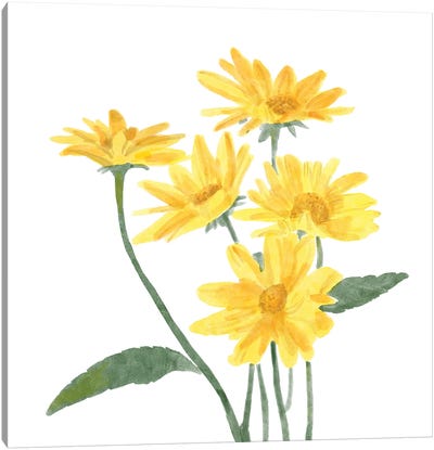 Wildflower Group I Canvas Art Print