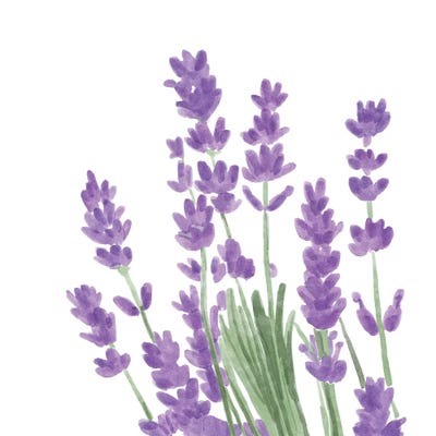 Wildflower Group II by Bannarot gallery poster