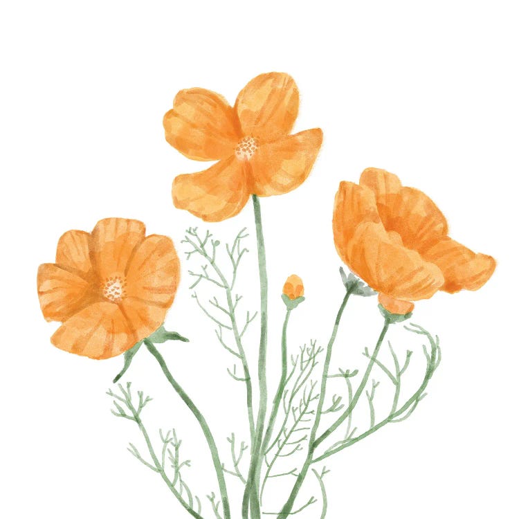 Wildflower Group III by Bannarot wall art