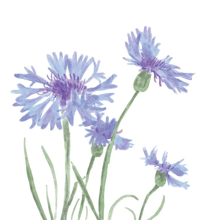 Wildflower Group IV by Bannarot wall art
