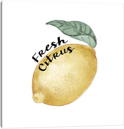 Citrus Limon Sentiment I Canvas Art Print