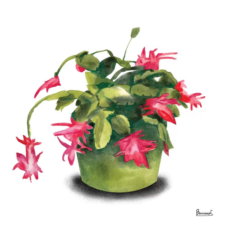 Cactus Flowers VIII by Bannarot wall art