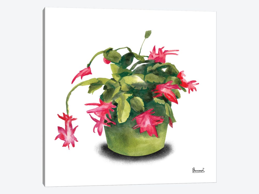Cactus Flowers VIII by Bannarot 1-piece Canvas Art Print