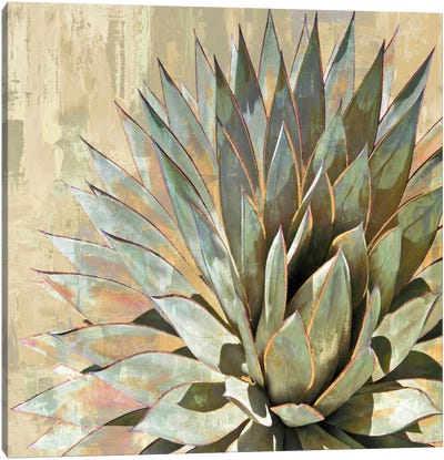 Succulent I Canvas Art Print - Southwest Décor