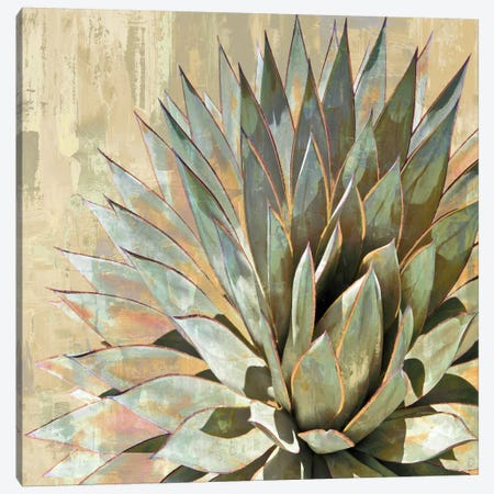 Succulent I Canvas Print #BNS1} by Lindsay Benson Canvas Wall Art