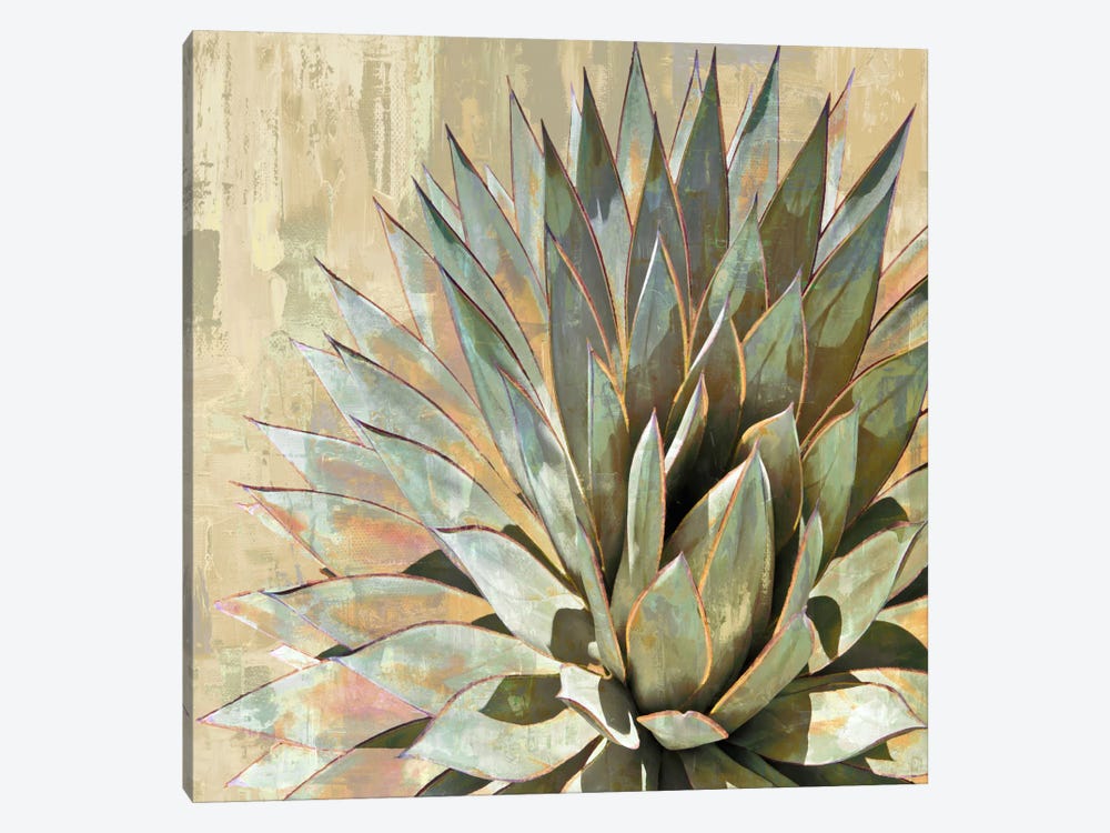 Succulent I by Lindsay Benson 1-piece Canvas Artwork