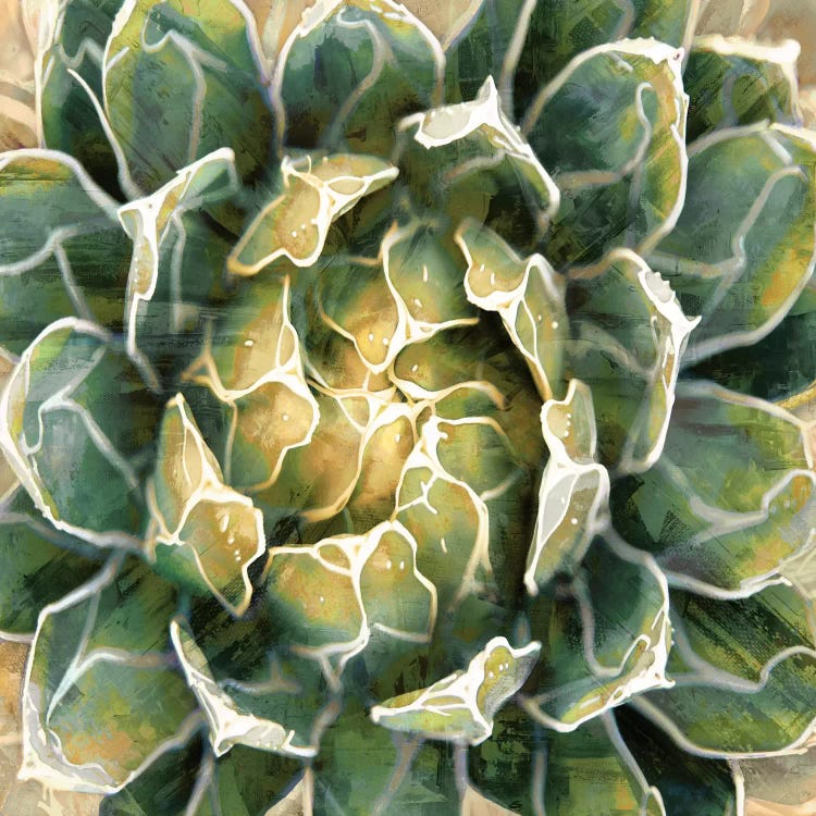 Succulent III