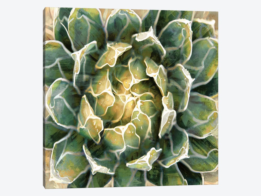 Succulent III by Lindsay Benson 1-piece Canvas Art