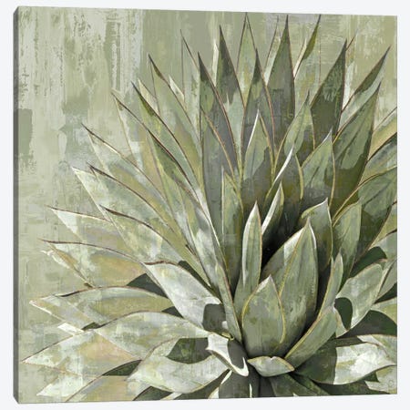 Succulent V Canvas Print #BNS5} by Lindsay Benson Canvas Art Print