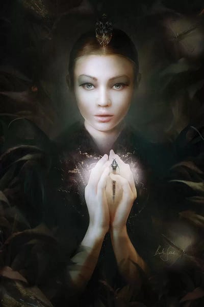 Witches: Drosera by Bente Schlick