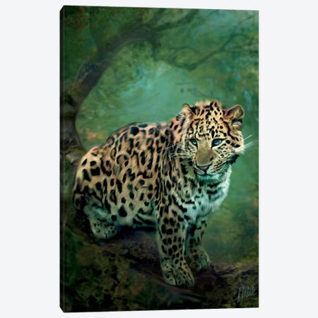 Leopard Canvas Print #BNT28} by Bente Schlick Canvas Artwork