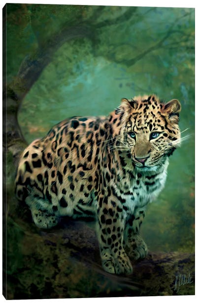 Leopard Canvas Art Print - Wild Cat Art